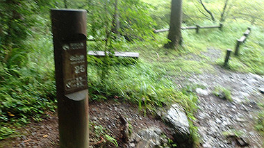 p8235824_thumb.jpg