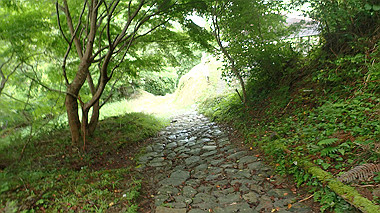 p8235825_thumb.jpg
