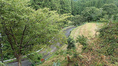 p8235827_thumb.jpg