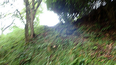 p8235828_thumb.jpg