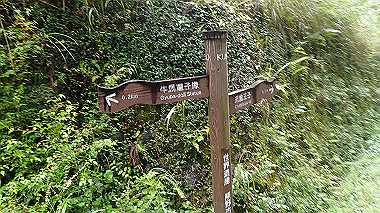 p8235830_thumb.jpg