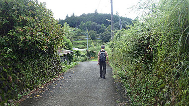 p8245852_thumb.jpg
