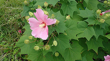 p8245854_thumb.jpg