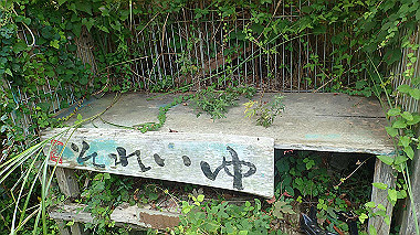 p8245855_thumb.jpg