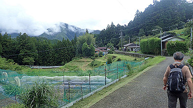 p8245857_thumb.jpg
