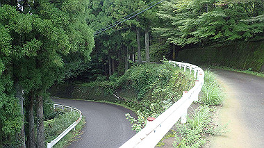 p8245871_thumb.jpg