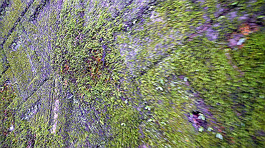 p8245872_thumb.jpg