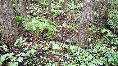 p8245873_thumb.jpg
