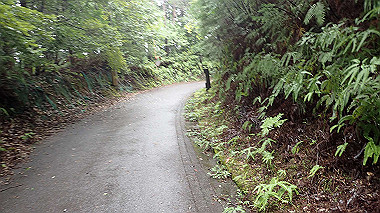p8245875_thumb.jpg