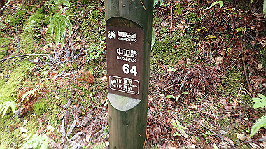 p8245876_thumb.jpg