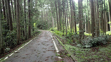 p8245877_thumb.jpg