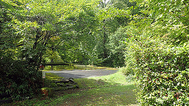 p8245878_thumb.jpg