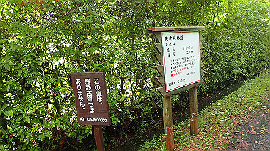 p8245881_thumb.jpg