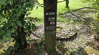 p8245882_thumb.jpg