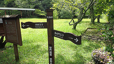 p8245883_thumb.jpg