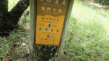 p8245887_thumb.jpg