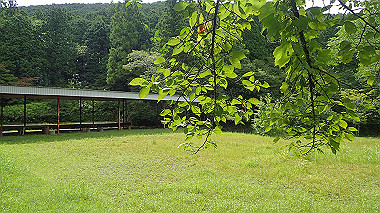 p8245888_thumb.jpg
