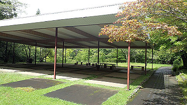 p8245894_thumb.jpg
