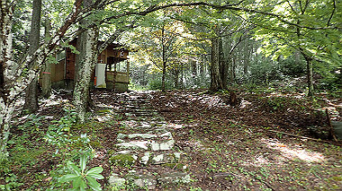 p8245897_thumb.jpg