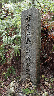 p8245898_thumb.jpg