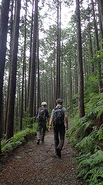 p8245901_thumb.jpg