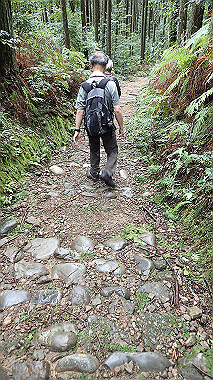 p8245902_thumb.jpg