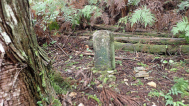 p8245903_thumb.jpg