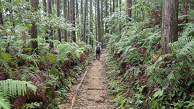 p8245905_thumb.jpg