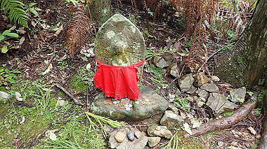 p8245906_thumb.jpg