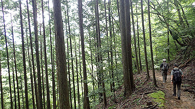 p8245907_thumb.jpg