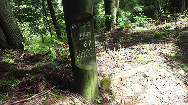 p8245908_thumb.jpg