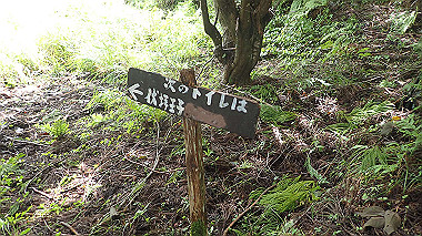 p8245912_thumb.jpg