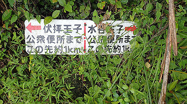 p8245916_thumb.jpg