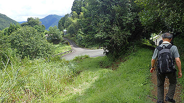 p8245918_thumb.jpg