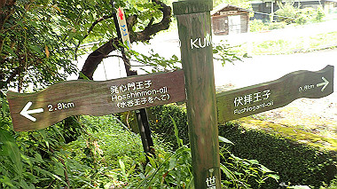 p8245919_thumb.jpg