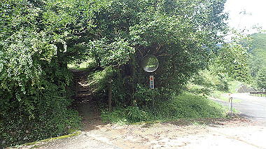 p8245921_thumb.jpg