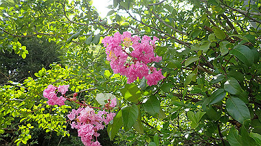 p8245922_thumb.jpg