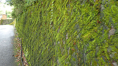 p8245923_thumb.jpg