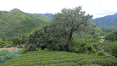 p8245927_thumb.jpg