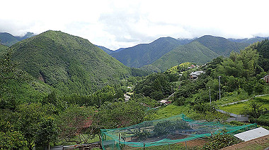 p8245928_thumb.jpg