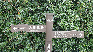p8245937_thumb.jpg