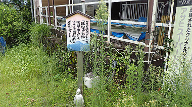 p8245940_thumb.jpg