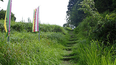 p8245947_thumb.jpg