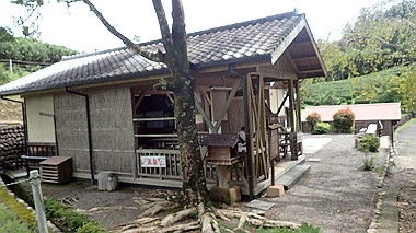 p8245950_thumb.jpg