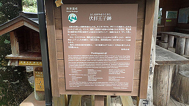 p8245951_thumb.jpg
