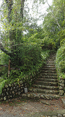 p8245956_thumb.jpg