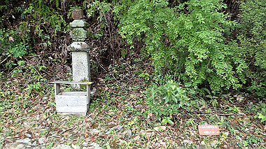 p8245957_thumb.jpg