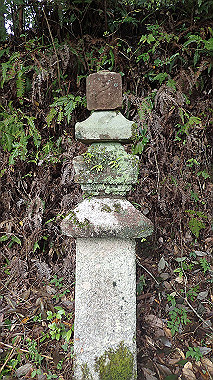 p8245958_thumb.jpg