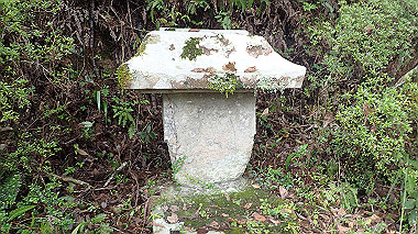 p8245960_thumb.jpg