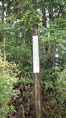 p8245962_thumb.jpg